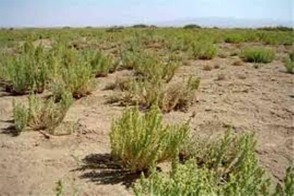 اصفهان- بیابان زدایی