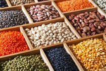 آغاز ثبت‌سفارش حبوبات و چای با نرخ جدید از فردا