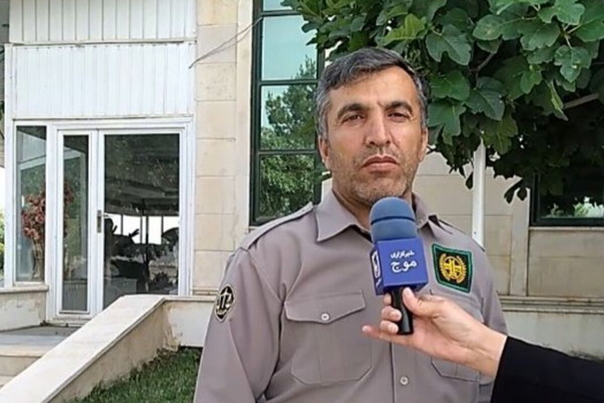 محمدی