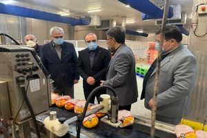 کمبودی در تامین و توزیع گوشت سفید وجود ندارد