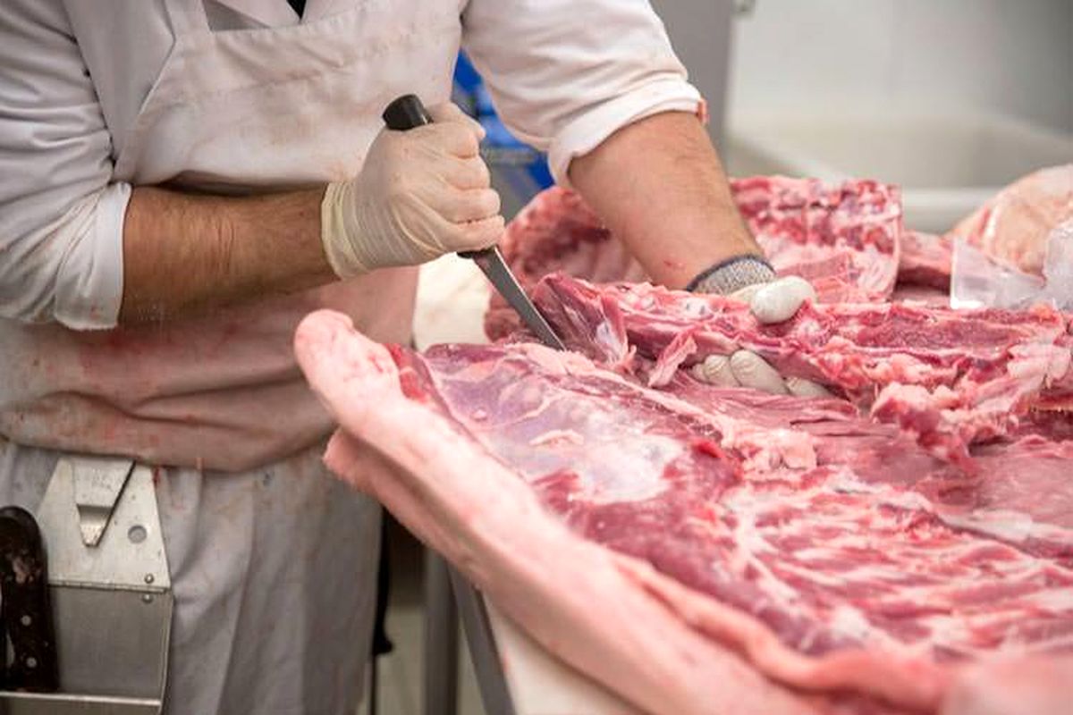 پیشگیری تب کریمه