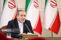 وزیر امور خارجه از اظهارات گروسی و وزیر خارجه عمان استقبال کرد