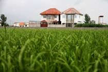 تخریب 2 مورد تفرجگاه غیرمجاز بین راهی در سوادکوه