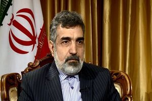 باید اروپایی ها فشار لازم را به آمریکایی ها بیاورند تا به برجام متعهد باشند