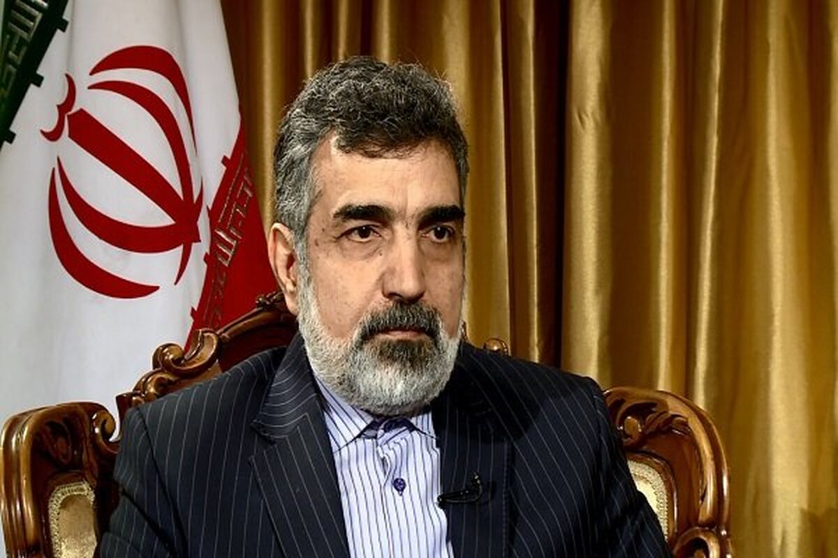 بهروز کمالوندی سخنگوی سازمان انرژی اتمی