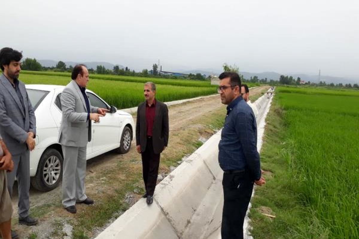 جهاد کشاورزی آمل