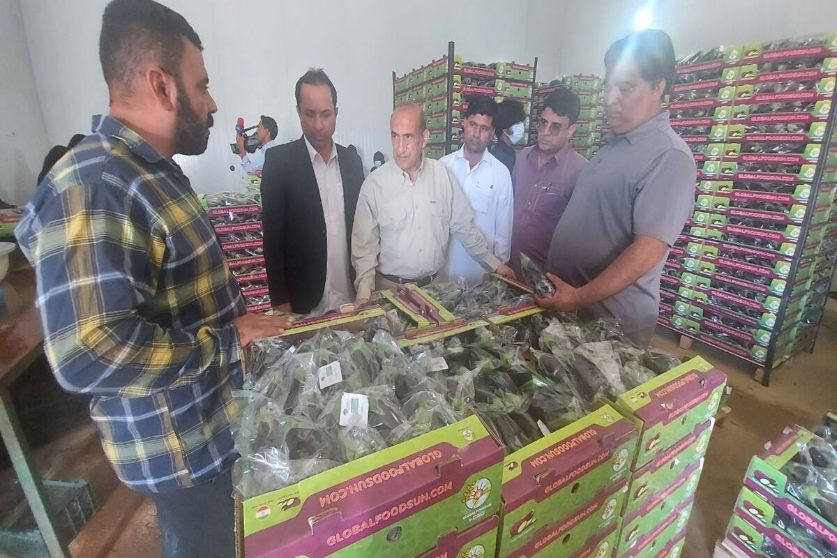 گلخانه اای