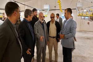 بهره برداری از یک واحد مرغداری ۲۷ هزار قطعه ای در زاهدان 