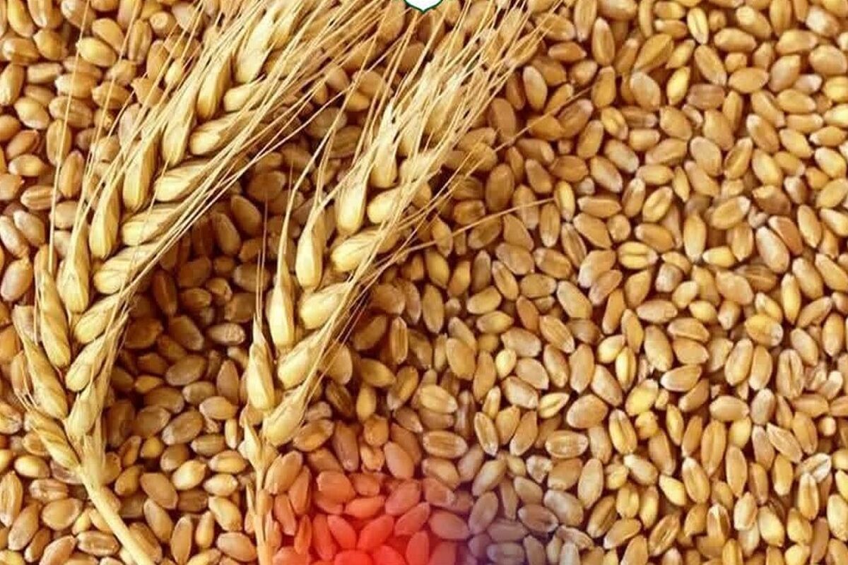 پلیس آوج (2)