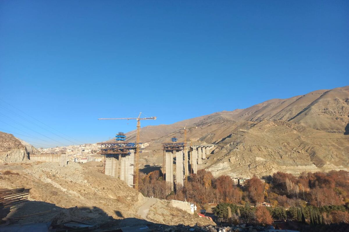 بازدید