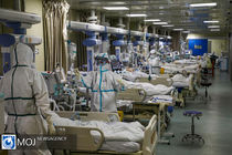 تعداد جان باختگان کرونا در دنیا به ۵۸۳۳ نفر رسید