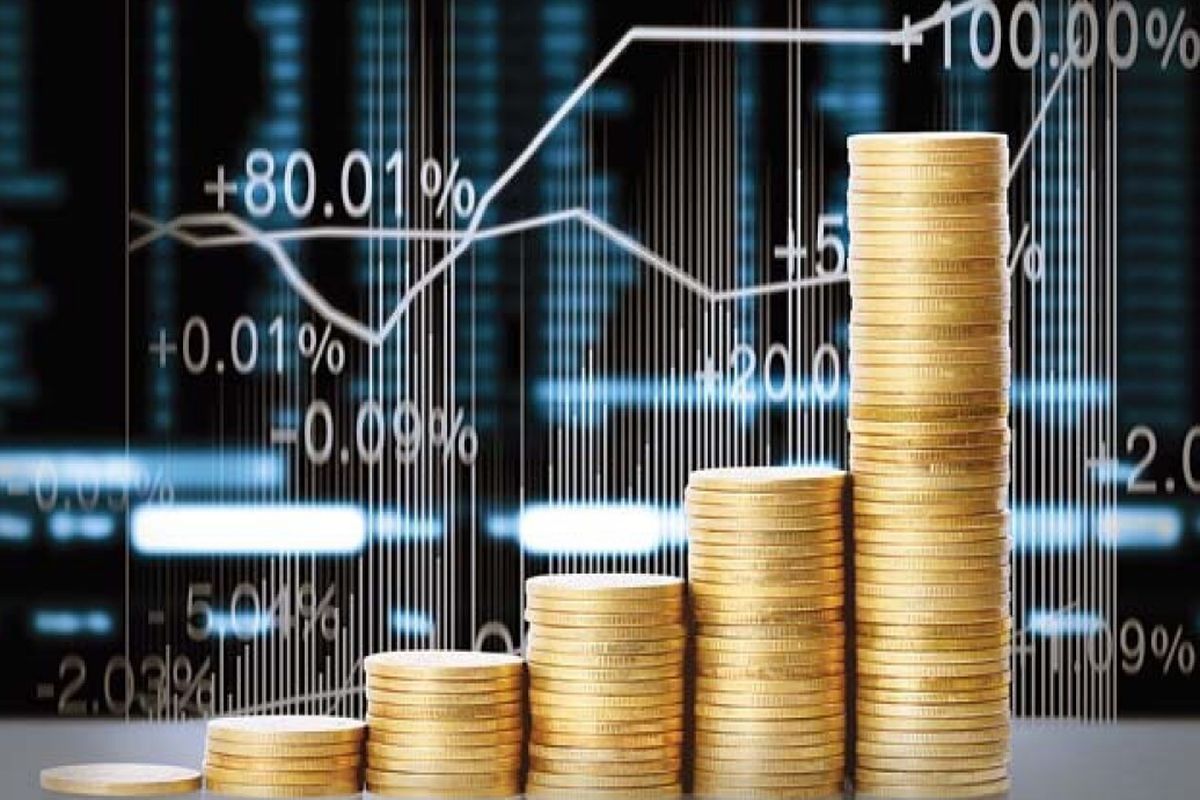 سرمایه گذاری اقتصادی