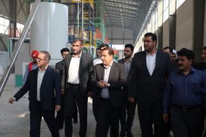 استاندار ایلام از پروژه کارخانه کاغذ سنگی در شهرستان چرداول بازدید کرد