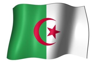 هواپیمای نظامی در الجزایر سقوط کرد