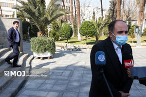 قیمت مرغ اصلاح شده و متعادل است