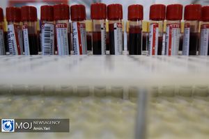 افزایش ۱۴ درصدی مراجعه اهدا کنندگان خون در رمضان ۱۴۰۰