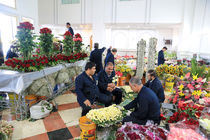 حرم مطهر امام‌رضا(ع) با ۲۰۰هزار بوته گل، آراسته شد