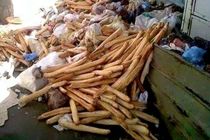 روزانه سه میلیون نان در الجزایر دور ریخته می شود