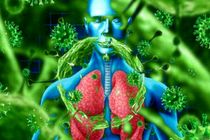 آخرین آمار مبتلایان به کرونا در جهان/ ابتلای بیش از ۷۸.۳ میلیون نفر