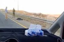 شهادت جوان فلسطینی در جنوب الخلیل