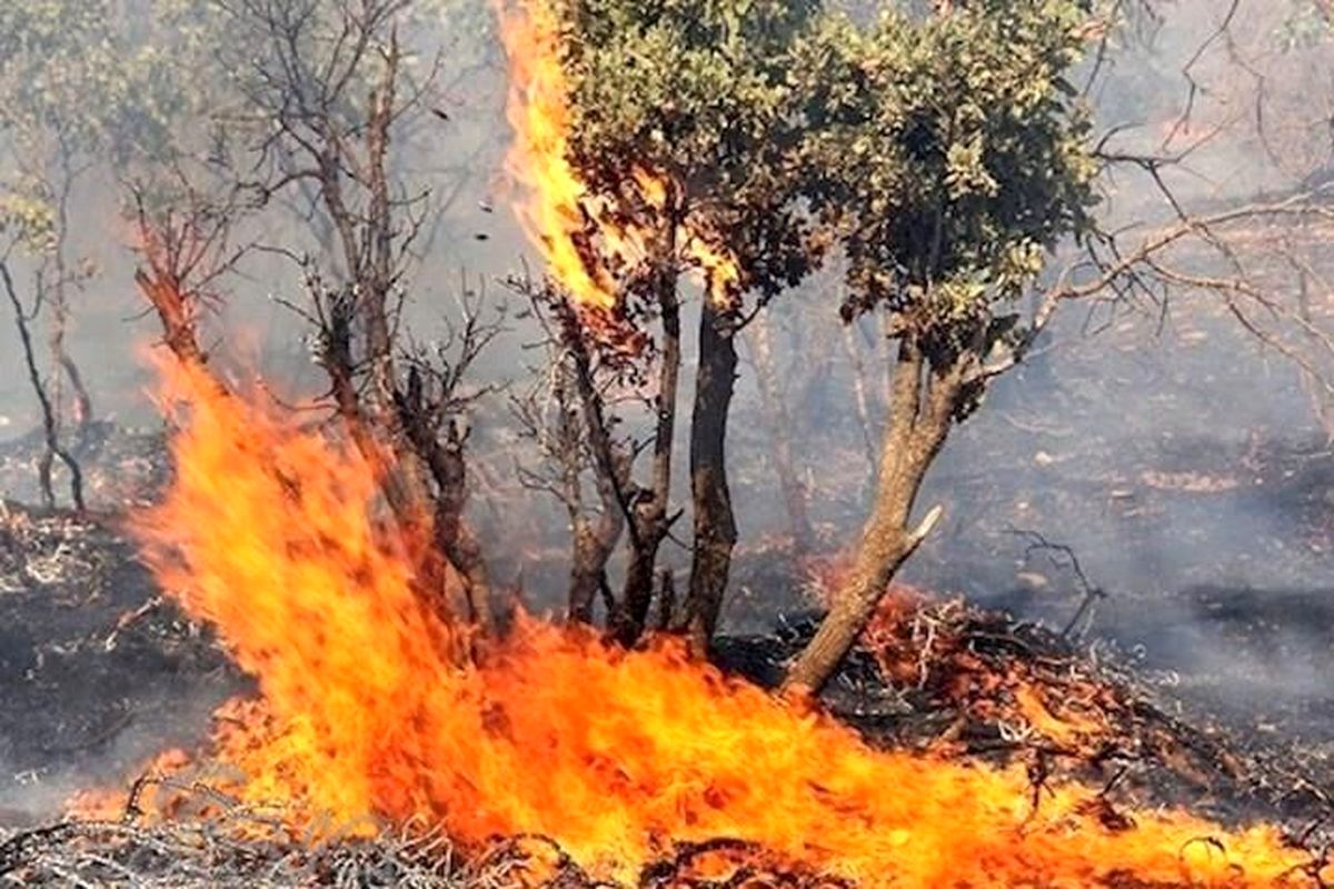 اصفهان- حریق منابع طبیعی