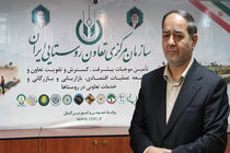مراکز خرید تعاون روستایی در ۱۲ روز گذشته در حال خدمات رسانی به مردم بودند