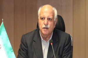 اصناف هیچ دخالتی در قیمت‌ گذاری کالا ندارند