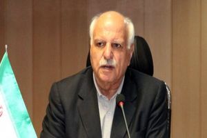 اصناف هیچ دخالتی در قیمت‌ گذاری کالا ندارند