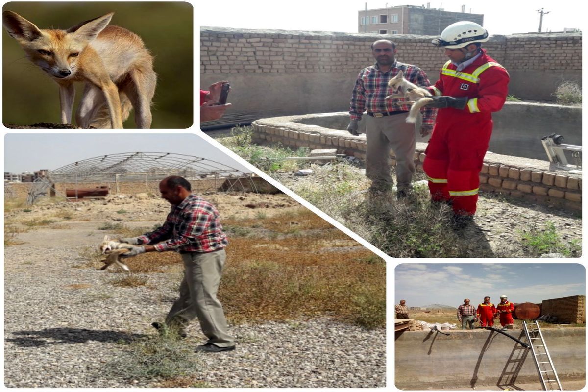 اصفهان-0 محیط زیست کاشان