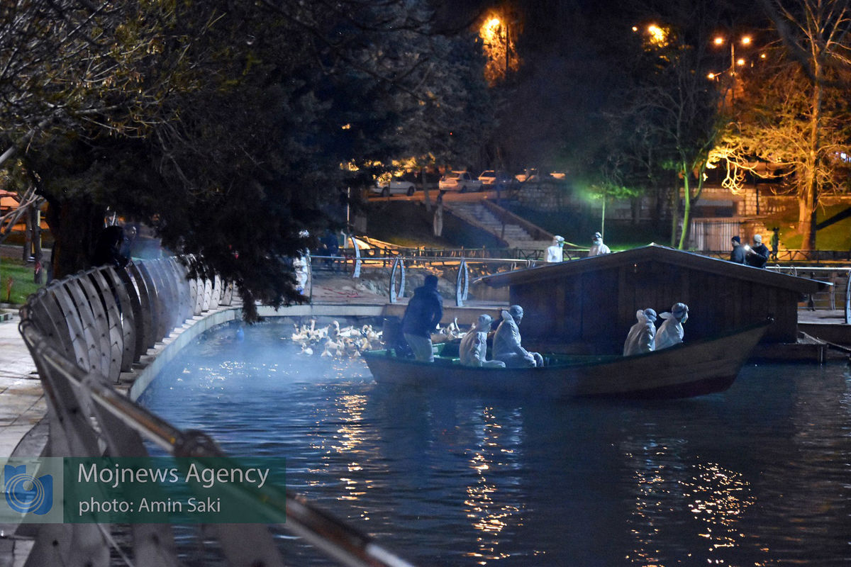 آنفولانزای پرندگان خرم آباد