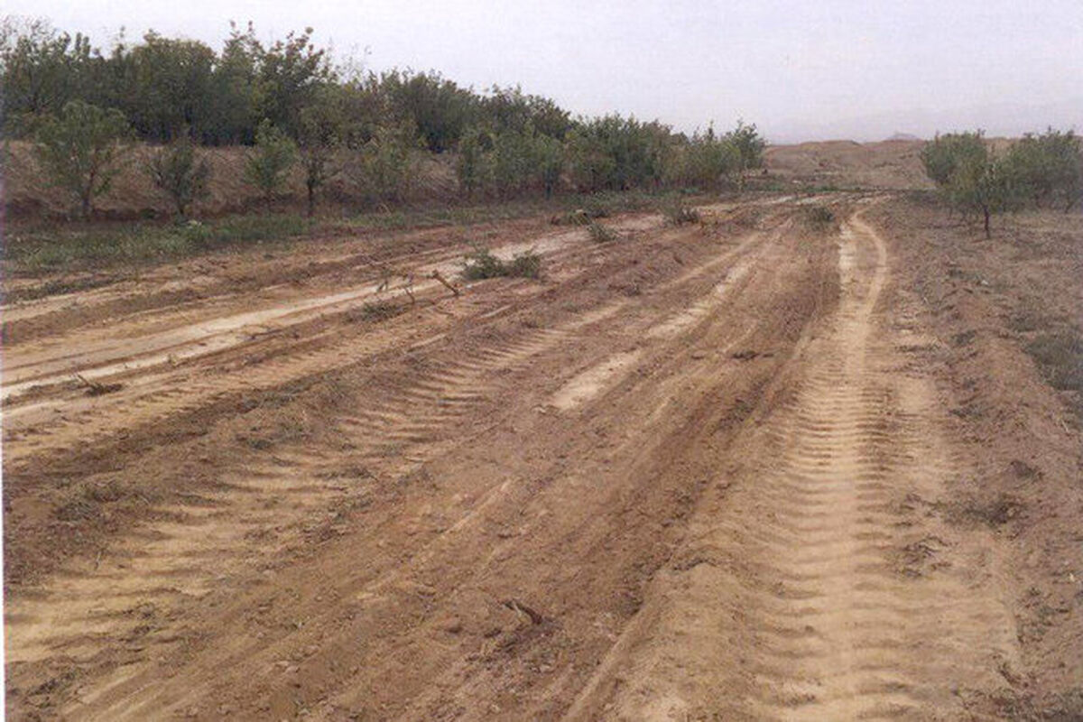 زمین خواری