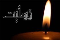 آیت‌الله سلیمی زنجانی درگذشت
