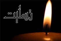 پیام تسلیت مدیرعامل بانک ملت در پی شهادت سردار سلیمانی