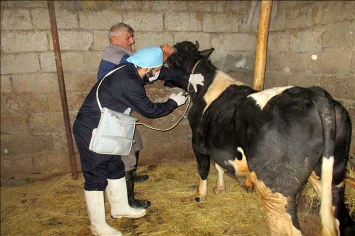 خدمات هفته بسيج-لاهيجان (3)