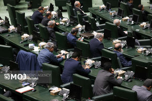 الزام دولت به راه‌اندازی سامانه خدمات حقوقی برای ایرانیان خارج از کشور با رأی مجلس