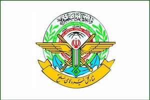 کارت‌های بازرگانی رتبه طلایی مستثنی شدند