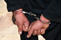 کارمند سابق بانک با ۱۴ میلیارد تومان کلاهبرداری توسط اینترپل مسترد گشت