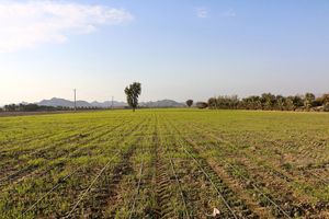 بحث بر سر یک زمین کشاورزی به درگیری و زخمی شدن 11 نفر در هفتکل منجر شد