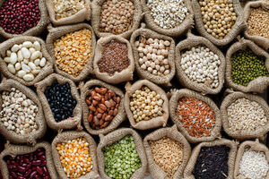 صادرات حبوبات ممنوع شد
