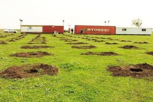 رئیس‌جمهور برای تهیه گزارش جامع از پتروشیمی میانکاله دستور داد