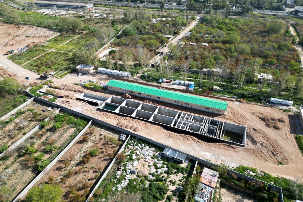 شهرداری شیراز 