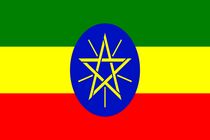 رئیس اسبق دستگاه اطلاعاتی اتیوپی به طور غیابی محاکمه شد