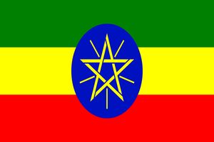 رئیس اسبق دستگاه اطلاعاتی اتیوپی به طور غیابی محاکمه شد