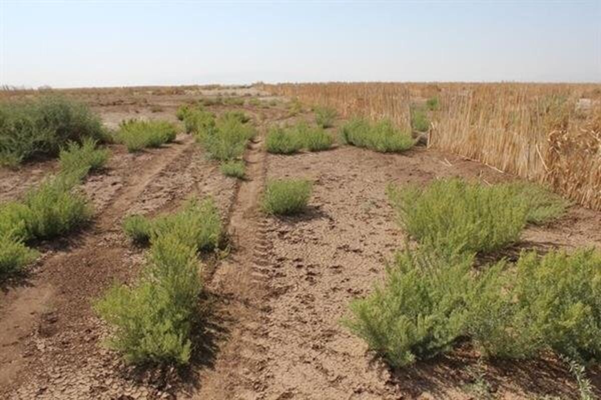 حفاظت منابع طبیعی و آبخیزداری خراسان رضوی