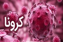 شناسایی 41 بیمار جدید مبتلا به ویروس کرونا در منطقه کاشان / مرگ 5 بیمار 