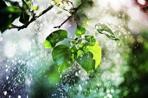 سازمان هواشناسی هشدار  آبگرفتگی و سیلاب داد