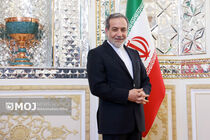 جشن نوروزی ایرانیان با صعود ملی پوشان به جام جهانی تکمیل شد
