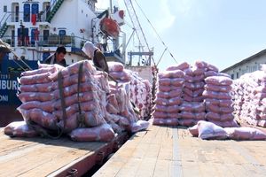 تخلیه و بارگیری هزار و ۲۰۰ تن برنج پاکستانی در بندر شهید باهنر بندرعباس