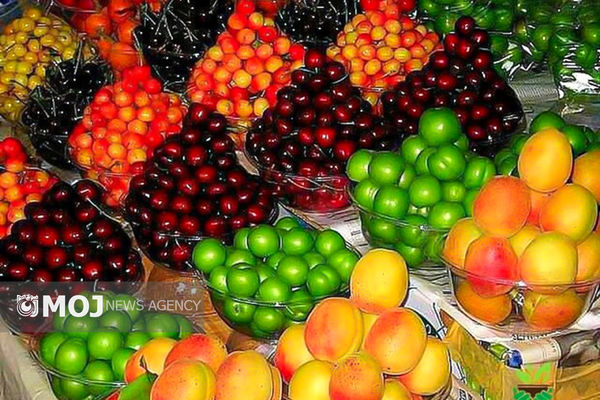 صادرات محصولات کشاورزی ۳۲ درصد افزایش یافت