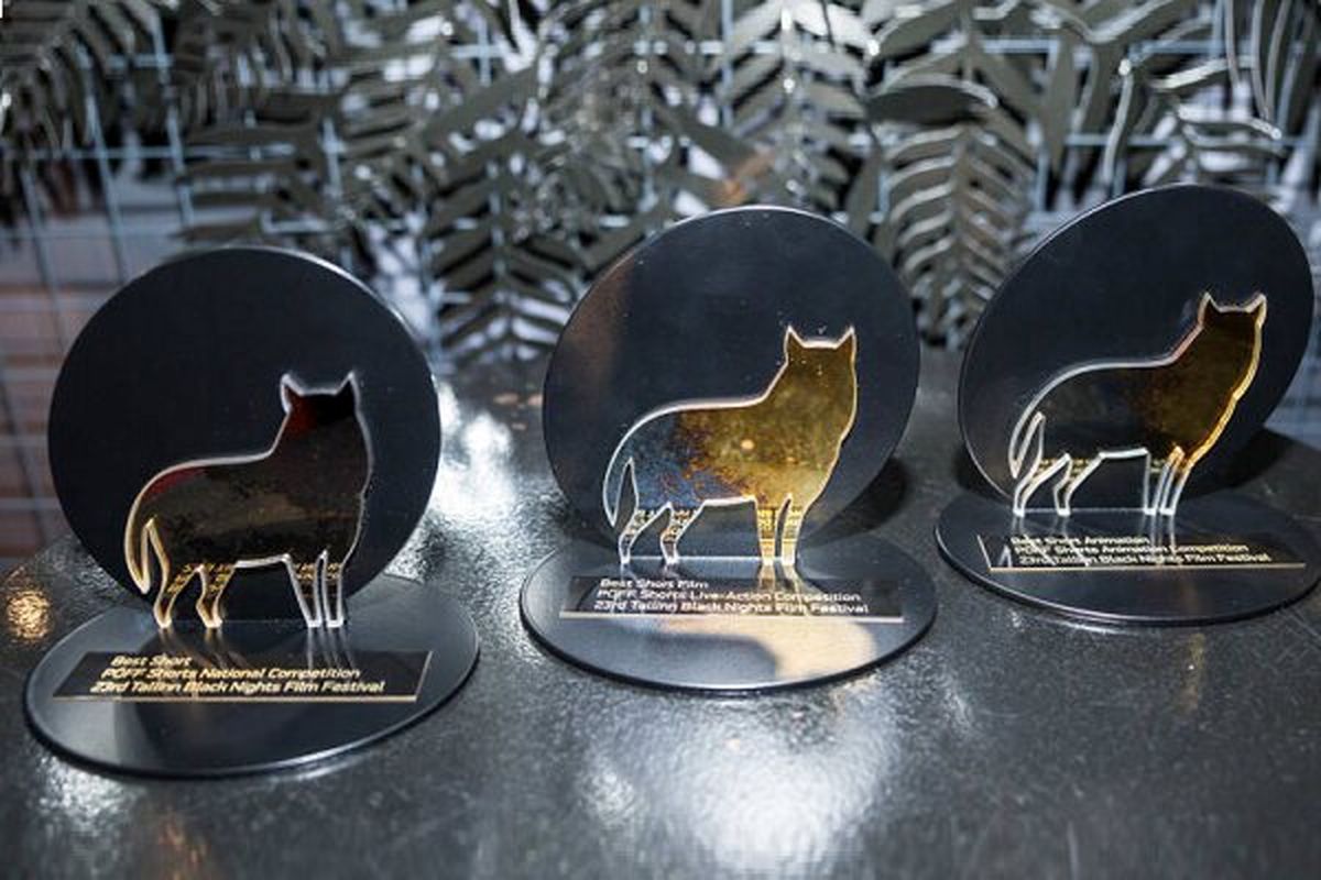 جشنواره تالین